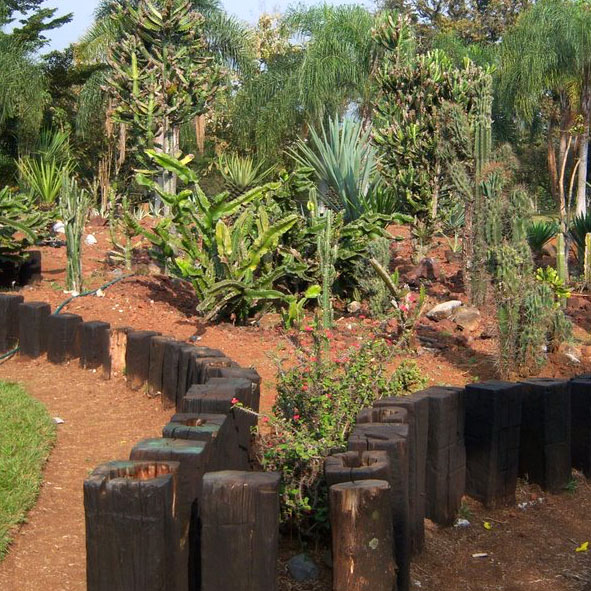 Centro Ecológico Paso Coyol